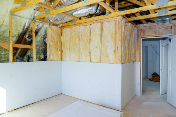 Best Eco-Friendly Insulation in Junction, TX
