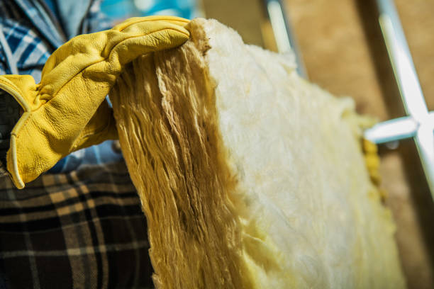 Best Cellulose Insulation in Junction, TX