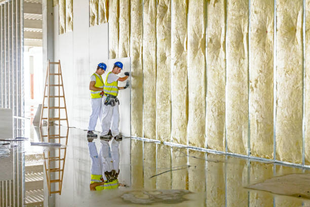 Best Commercial Insulation in Junction, TX